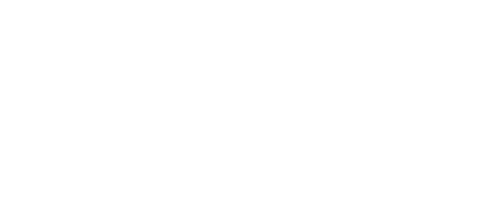 Gemini RP Logo